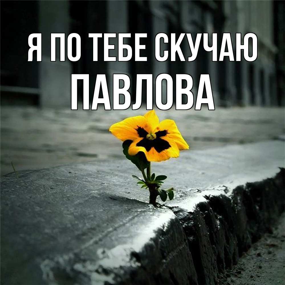 Открытка на каждый день с именем, Павлова Я по тебе скучаю надеюсь будет лучше Прикольная открытка с пожеланием онлайн скачать бесплатно 