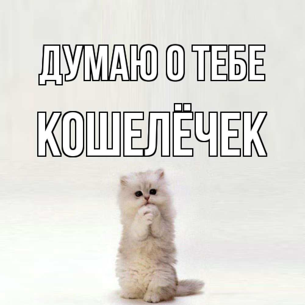 Открытка на каждый день с именем, кошелёчек Думаю о тебе кот стоит на задних лапах Прикольная открытка с пожеланием онлайн скачать бесплатно 