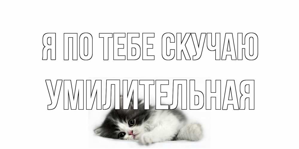 Открытка на каждый день с именем, умилительная Я по тебе скучаю кот, скука Прикольная открытка с пожеланием онлайн скачать бесплатно 