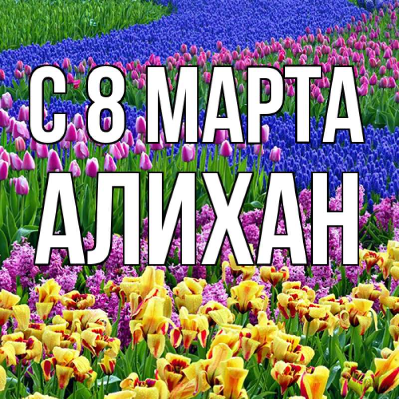 Картинка C 8 МАРТА, Алихан