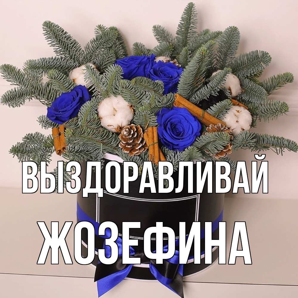 Открытка на каждый день с именем, Жозефина Выздоравливай короче кто то загрузил эти шишки Прикольная открытка с пожеланием онлайн скачать бесплатно 