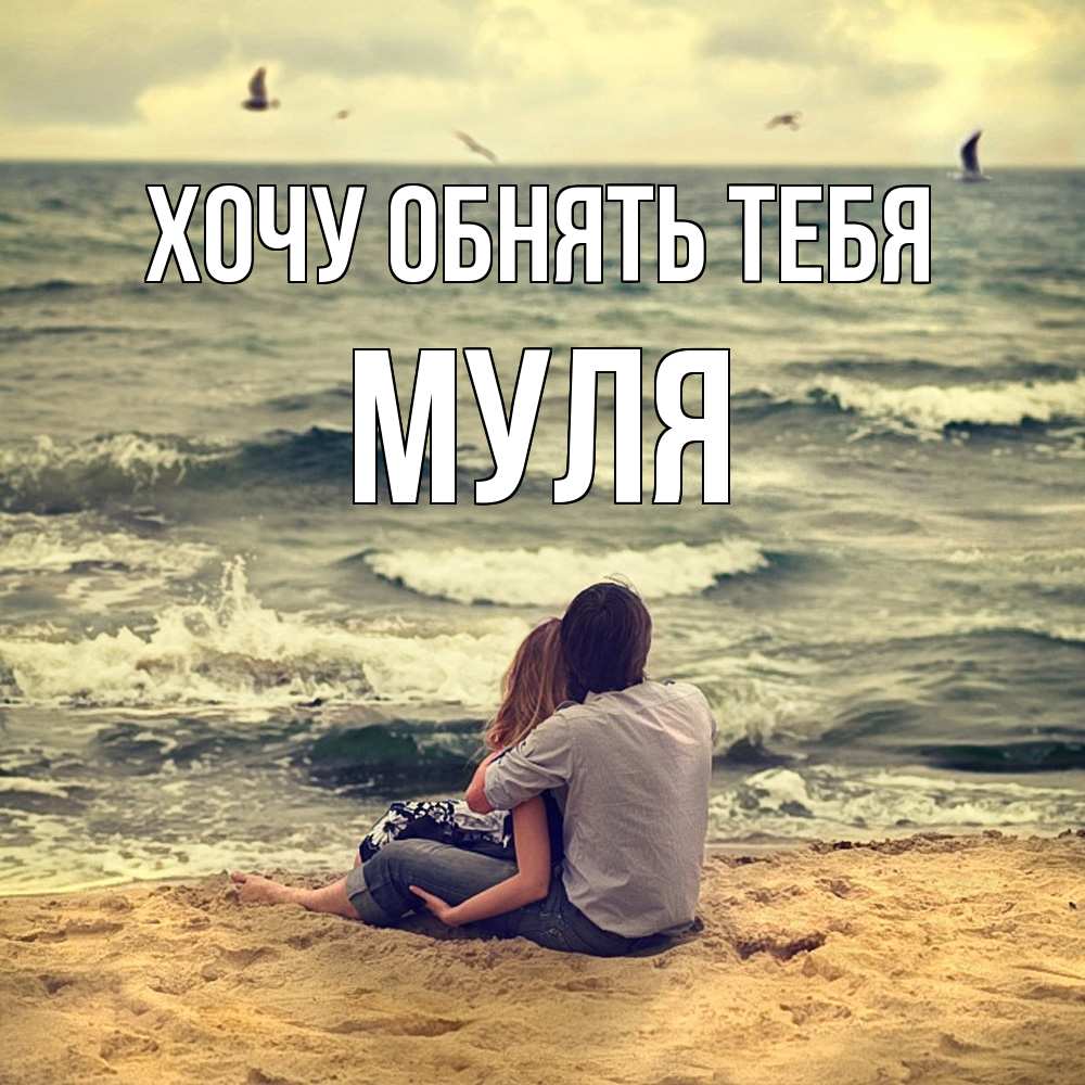 Открытка на каждый день с именем, Муля Хочу обнять тебя возлюбленные на песочке Прикольная открытка с пожеланием онлайн скачать бесплатно 
