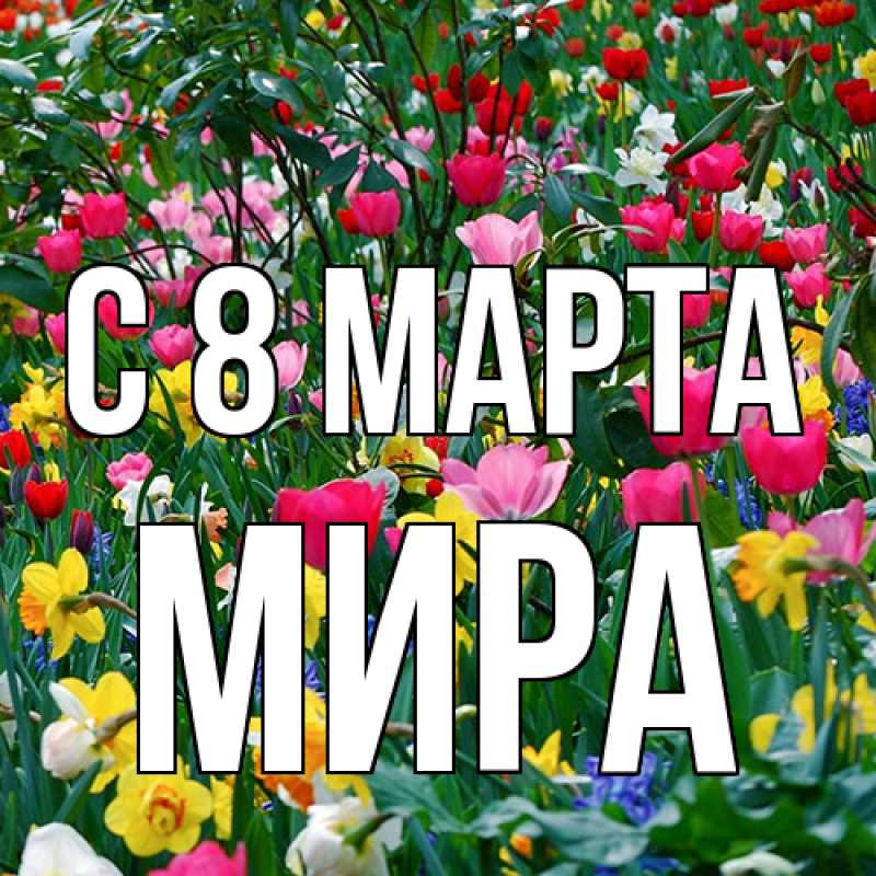 Картинка C 8 МАРТА, Мира