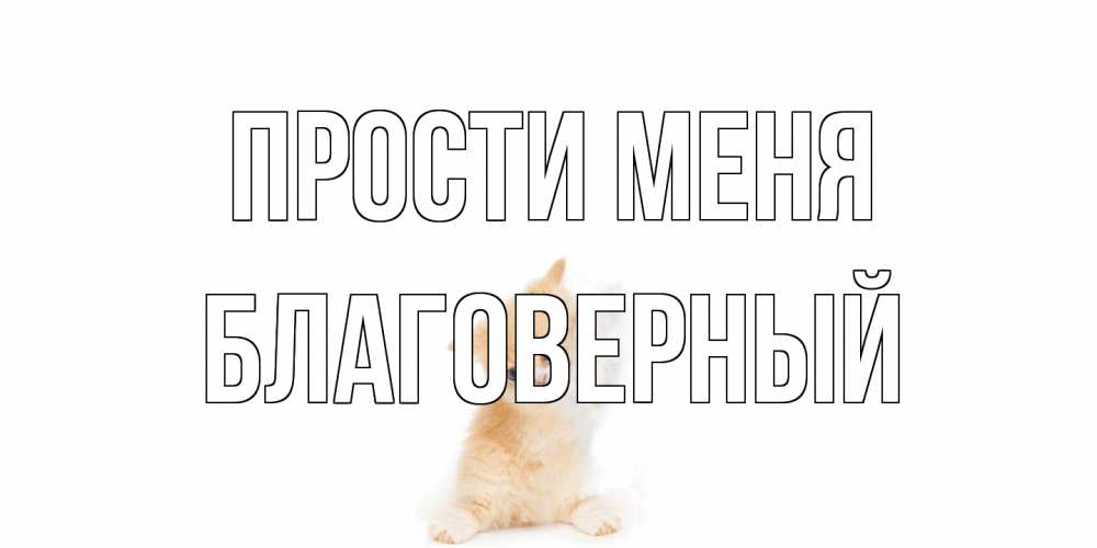 Открытка на каждый день с именем, Благоверный Прости меня кот Прикольная открытка с пожеланием онлайн скачать бесплатно 