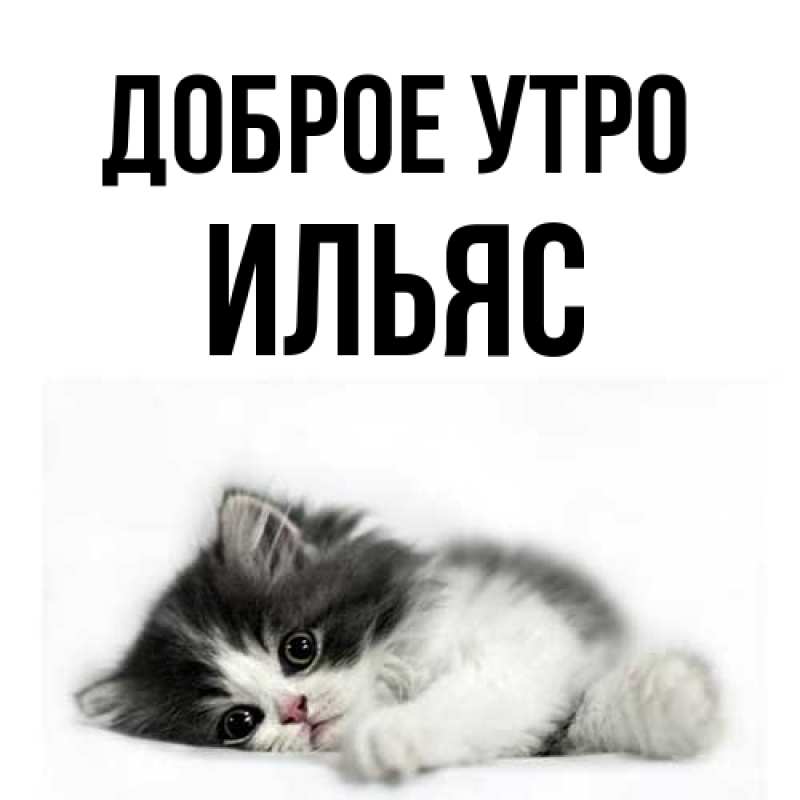Картинка Доброе утро, Ильяс