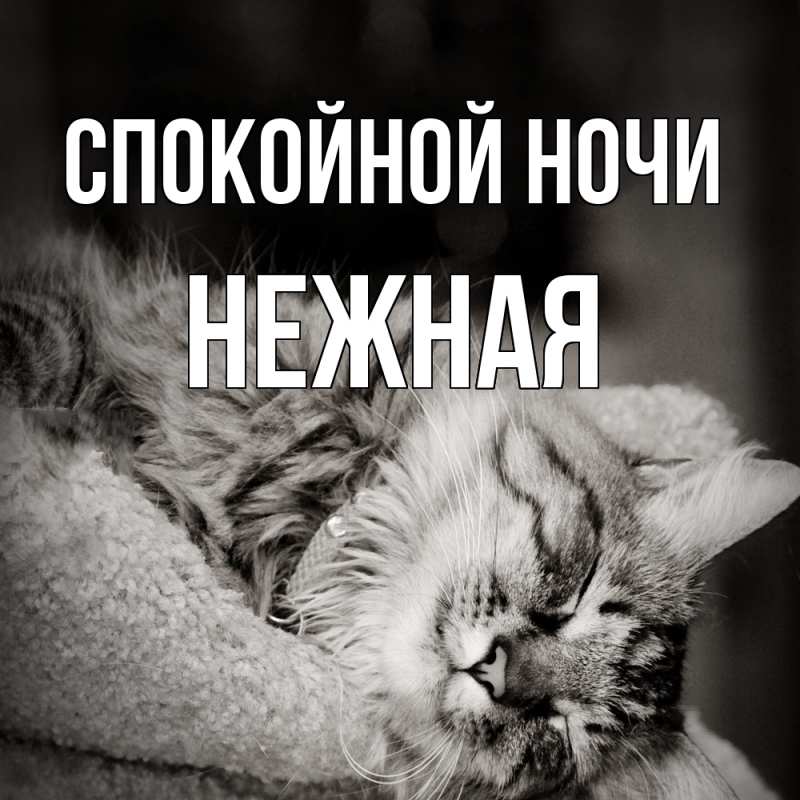 Картинка Спокойной ночи, Нежная
