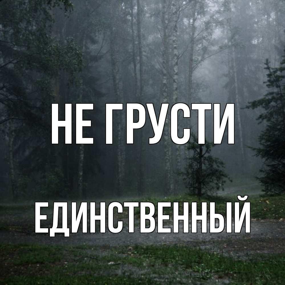 Открытка на каждый день с именем, Единственный Не грусти осень Прикольная открытка с пожеланием онлайн скачать бесплатно 