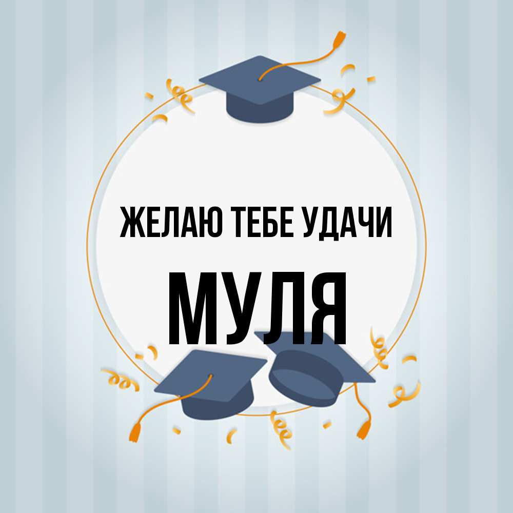 Открытка на каждый день с именем, Муля Желаю тебе удачи для студентов Прикольная открытка с пожеланием онлайн скачать бесплатно 