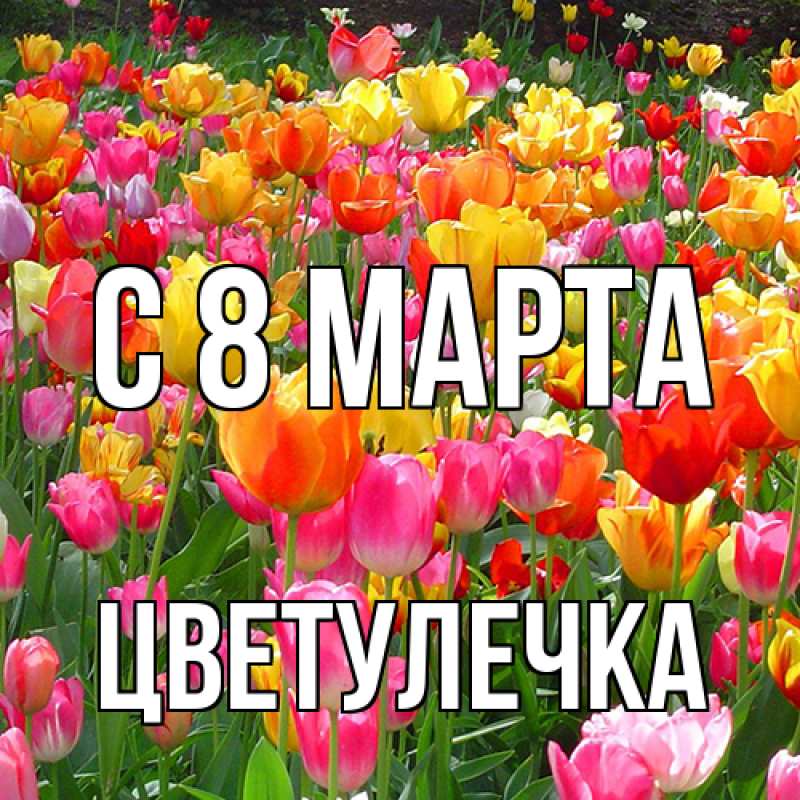 Картинка C 8 МАРТА, Цветулечка