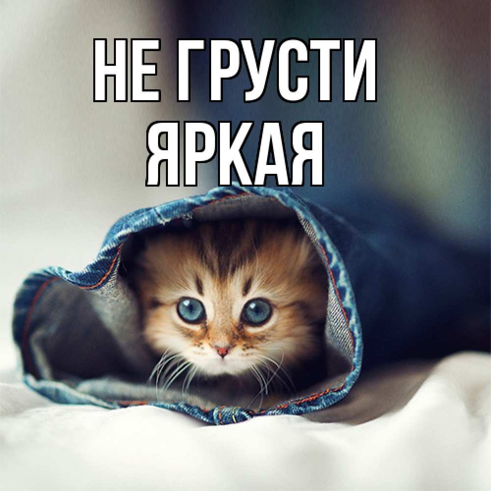 Открытка на каждый день с именем, яркая Не грусти рыжик котик Прикольная открытка с пожеланием онлайн скачать бесплатно 