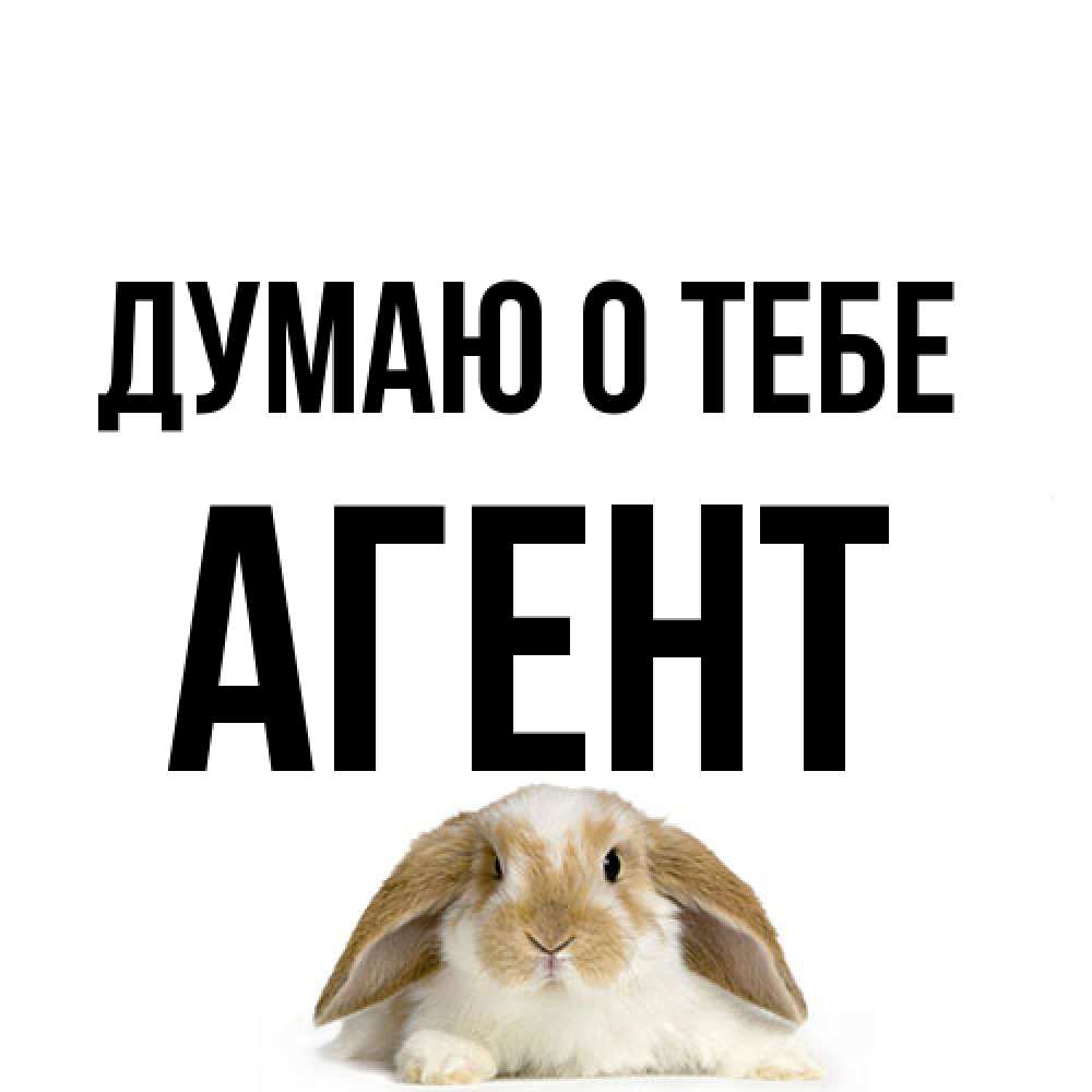 Открытка на каждый день с именем, Агент Думаю о тебе подписать своими руками онлайн Прикольная открытка с пожеланием онлайн скачать бесплатно 