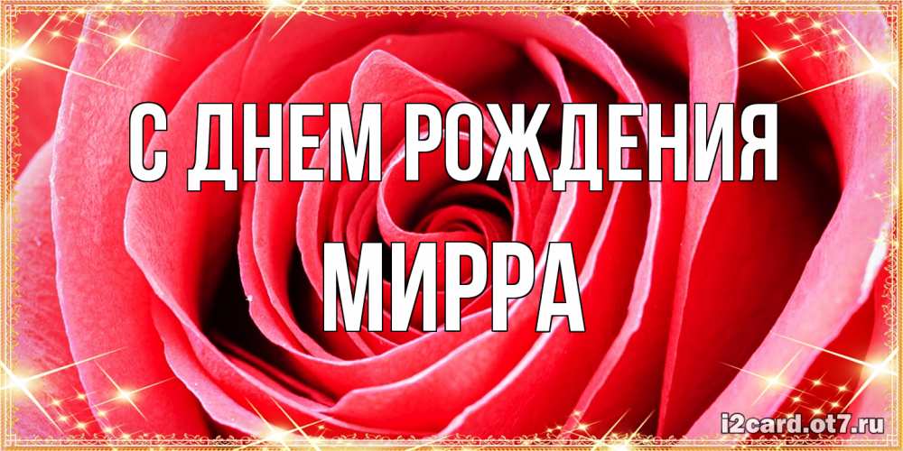 Открытка на каждый день с именем, Мирра С днем рождения розовая роза очень крупный бутон Прикольная открытка с пожеланием онлайн скачать бесплатно 