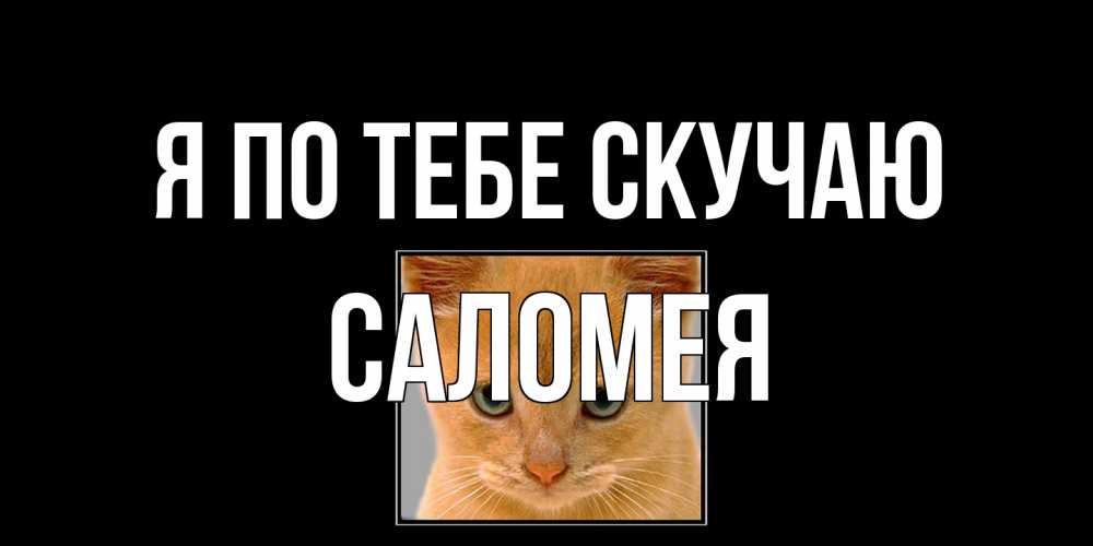 Открытка на каждый день с именем, Саломея Я по тебе скучаю открытки рыжий котенок скучает по тебе Прикольная открытка с пожеланием онлайн скачать бесплатно 