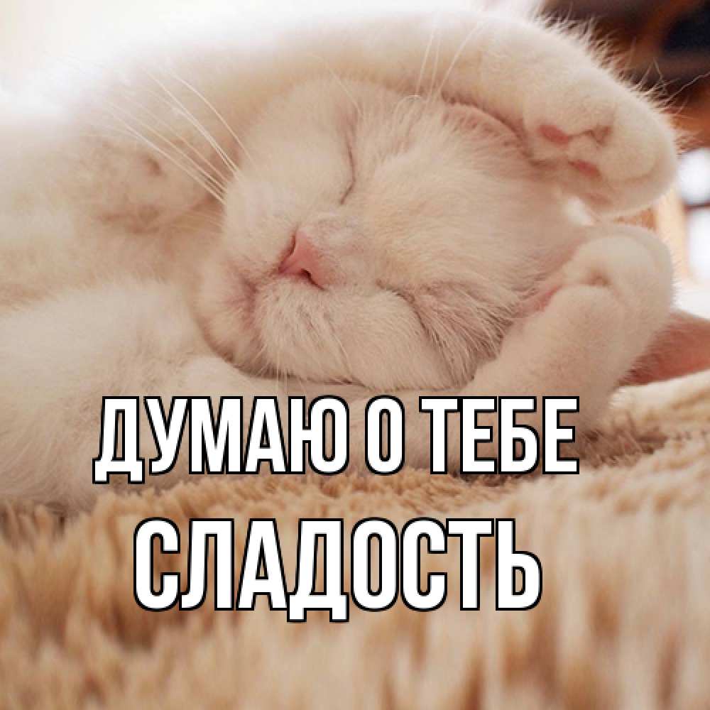 Открытка на каждый день с именем, Сладость Думаю о тебе для любимой девушки милота Прикольная открытка с пожеланием онлайн скачать бесплатно 