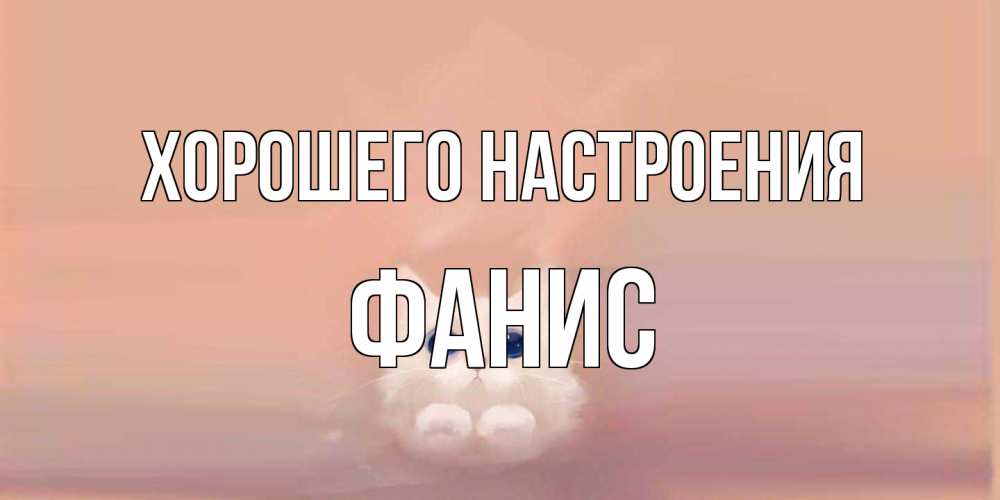 Открытка на каждый день с именем, Фанис Хорошего настроения кошка Прикольная открытка с пожеланием онлайн скачать бесплатно 