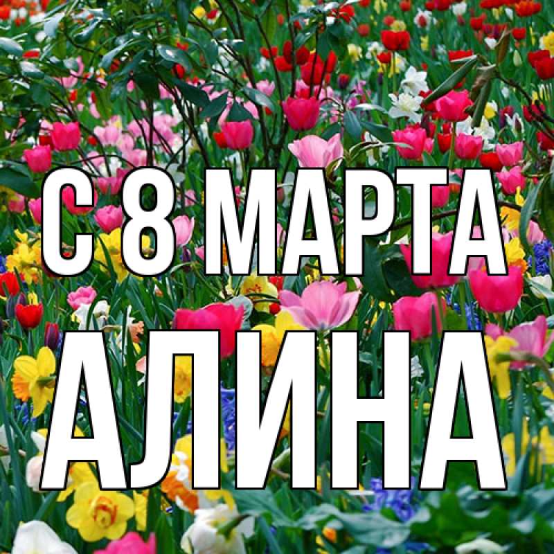 Картинка C 8 МАРТА, Алина