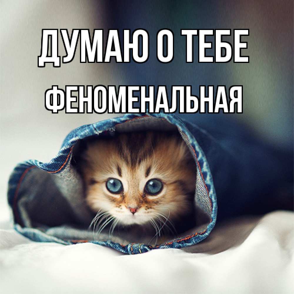 Открытка на каждый день с именем, Феноменальная Думаю о тебе мне без тебя плохо Прикольная открытка с пожеланием онлайн скачать бесплатно 