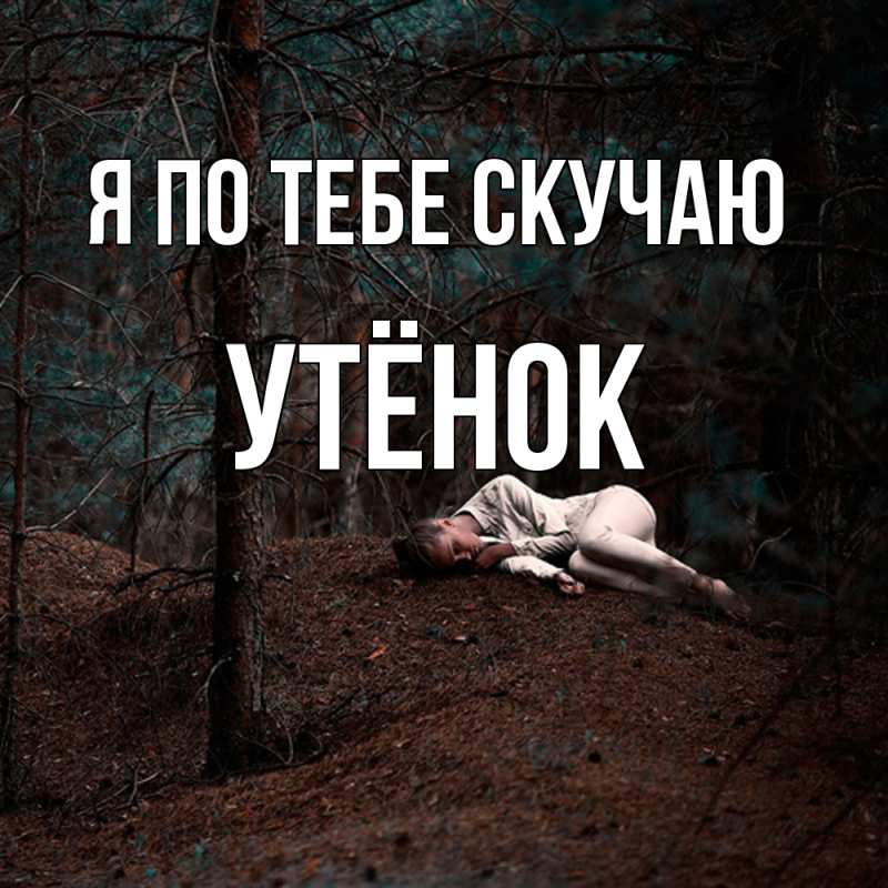 Картинка Я по тебе скучаю, Утёнок