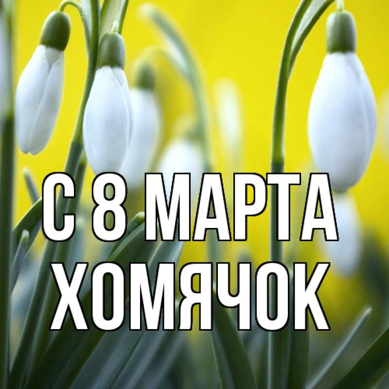 Картинка C 8 МАРТА, Хомячок