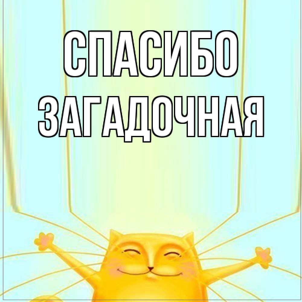 Открытка на каждый день с именем, загадочная Спасибо кот с усами благодарит Прикольная открытка с пожеланием онлайн скачать бесплатно 