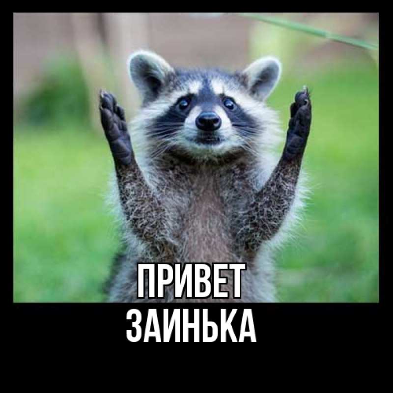 Открытка с именем, Заинька, Привет