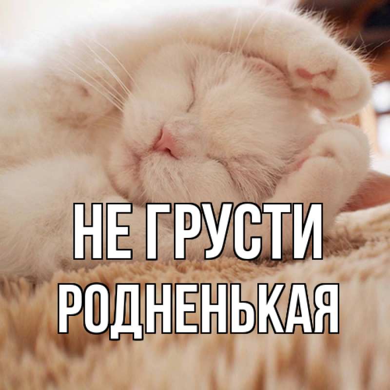 Картинка Не грусти, Родненькая