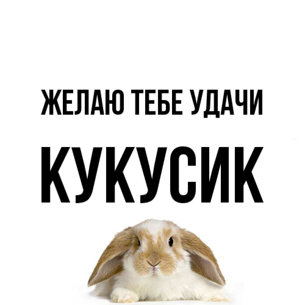 Открытка на каждый день с именем, Кукусик Желаю тебе удачи открытки с произвольным текстом который можно вставить в открытку и создать ее самостоятельно бесплатно онлайн Прикольная открытка с пожеланием онлайн скачать бесплатно 