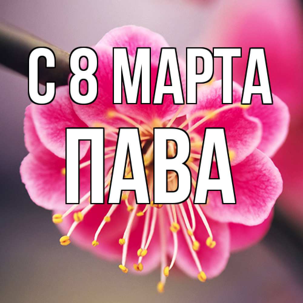 Открытка на каждый день с именем, пава C 8 МАРТА цветы Прикольная открытка с пожеланием онлайн скачать бесплатно 