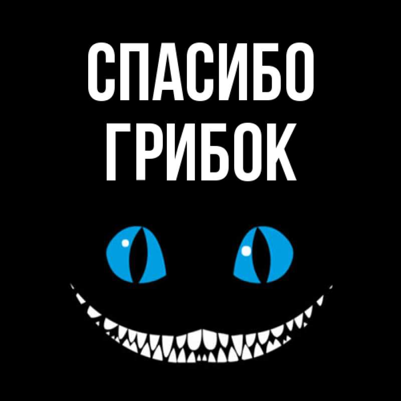 Картинка Спасибо, Грибок