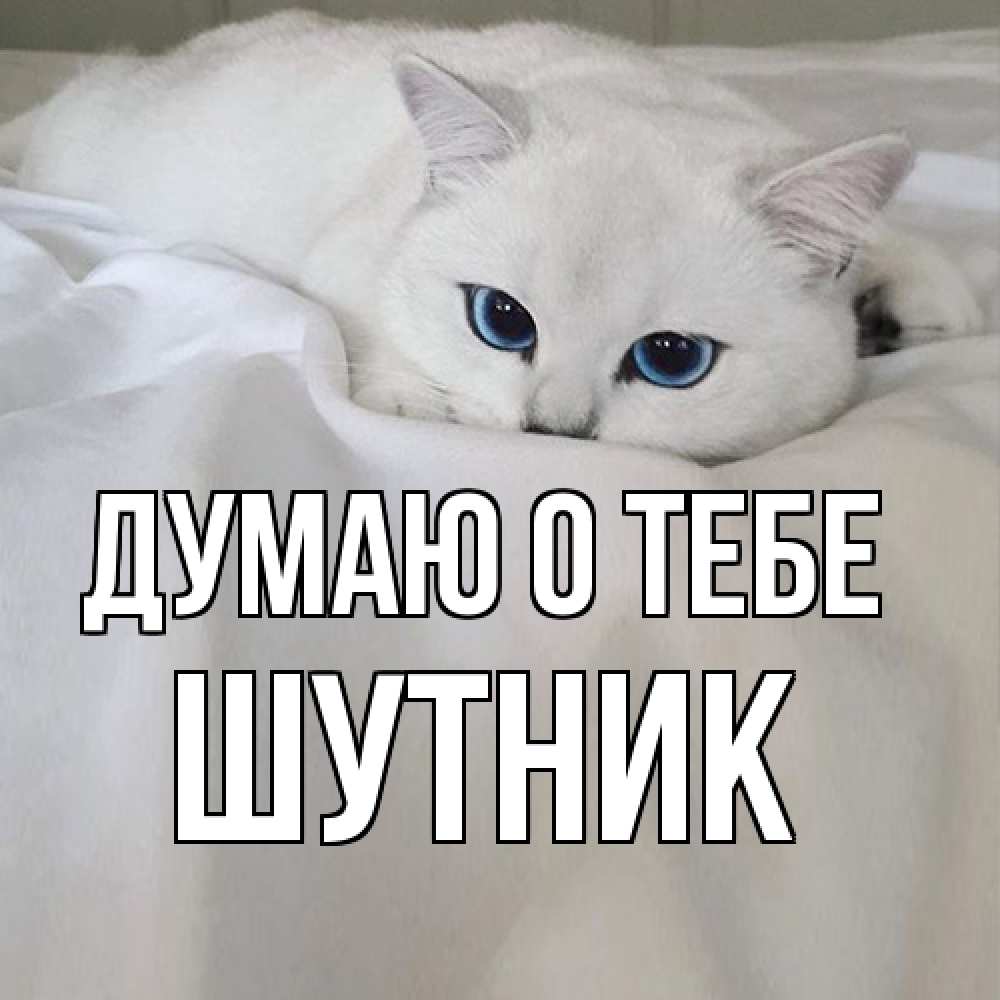 Открытка на каждый день с именем, Шутник Думаю о тебе я очень по тебе скучаю и тоскую Прикольная открытка с пожеланием онлайн скачать бесплатно 