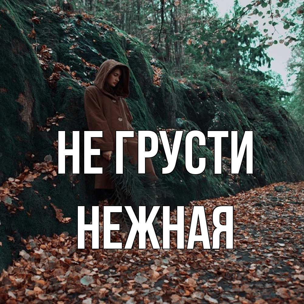 Открытка на каждый день с именем, Hежная Не грусти осенний лес Прикольная открытка с пожеланием онлайн скачать бесплатно 