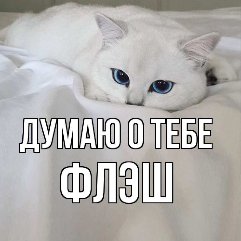 Открытка на каждый день с именем, Флэш Думаю о тебе я очень по тебе скучаю и тоскую Прикольная открытка с пожеланием онлайн скачать бесплатно 