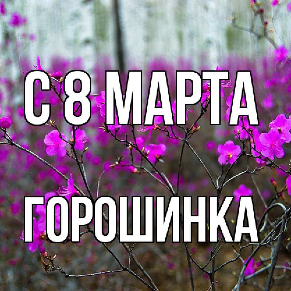 Открытка на каждый день с именем, горошинка C 8 МАРТА дикие цветы Прикольная открытка с пожеланием онлайн скачать бесплатно 