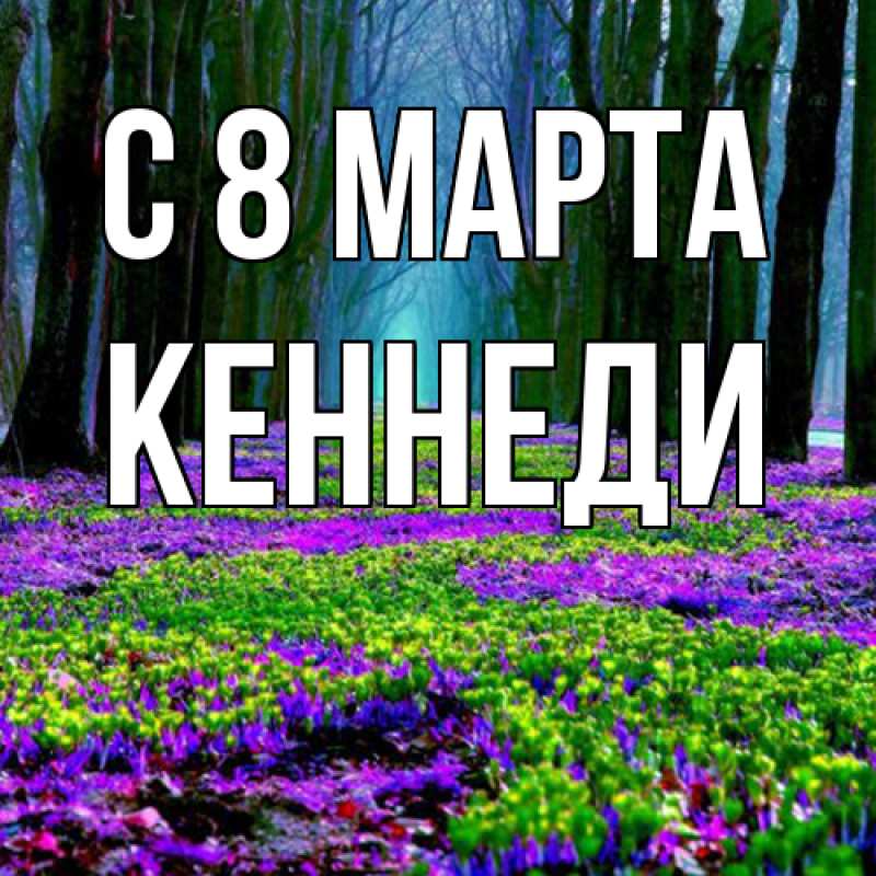 Картинка C 8 МАРТА, Кеннеди