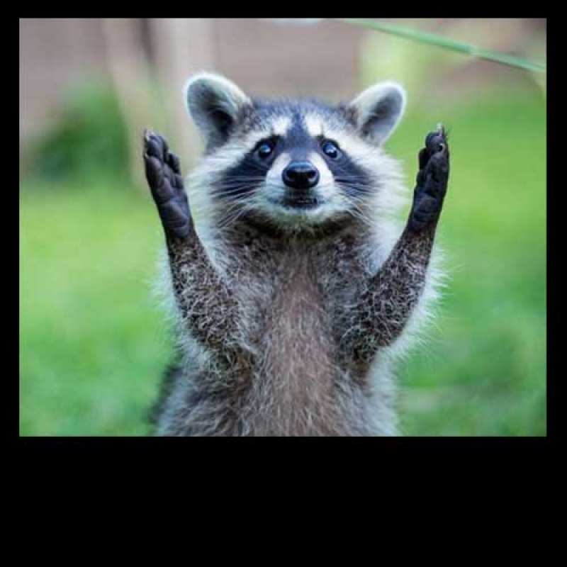 Открытка с именем, Роднуленька, Спасибо