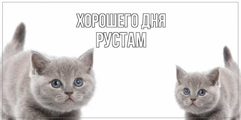 Картинка Хорошего дня, Рустам
