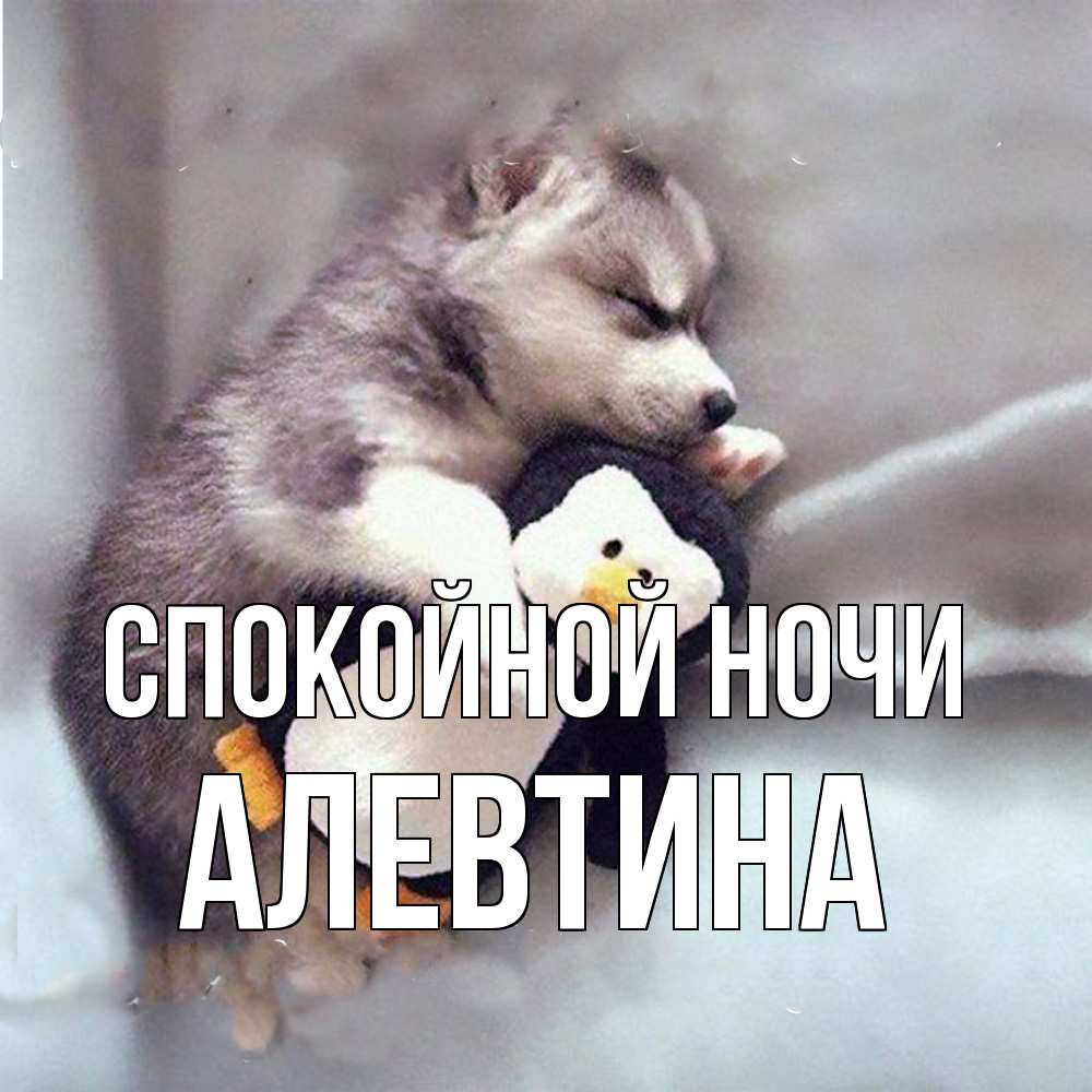Открытка на каждый день с именем, Алевтина Спокойной ночи обнимашки щенка и пингвина Прикольная открытка с пожеланием онлайн скачать бесплатно 