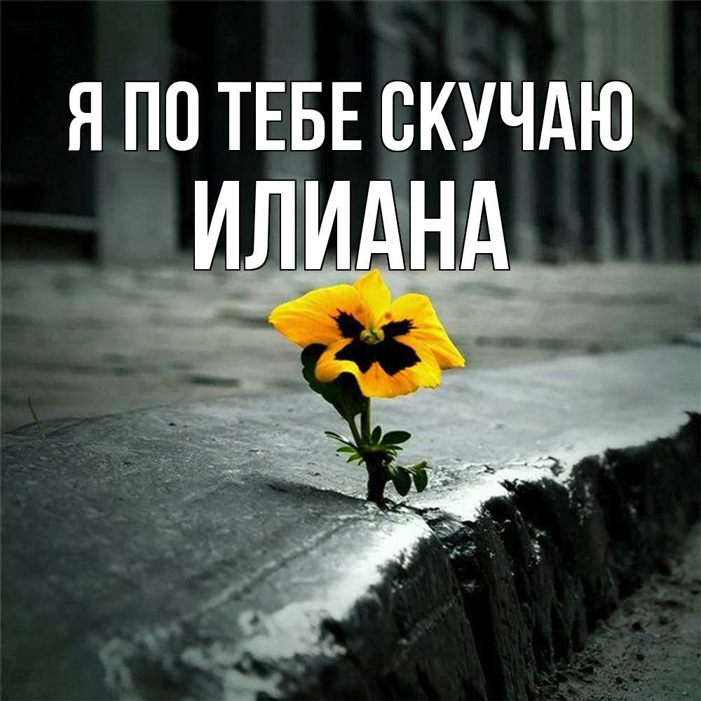 Открытка на каждый день с именем, Илиана Я по тебе скучаю надеюсь будет лучше Прикольная открытка с пожеланием онлайн скачать бесплатно 