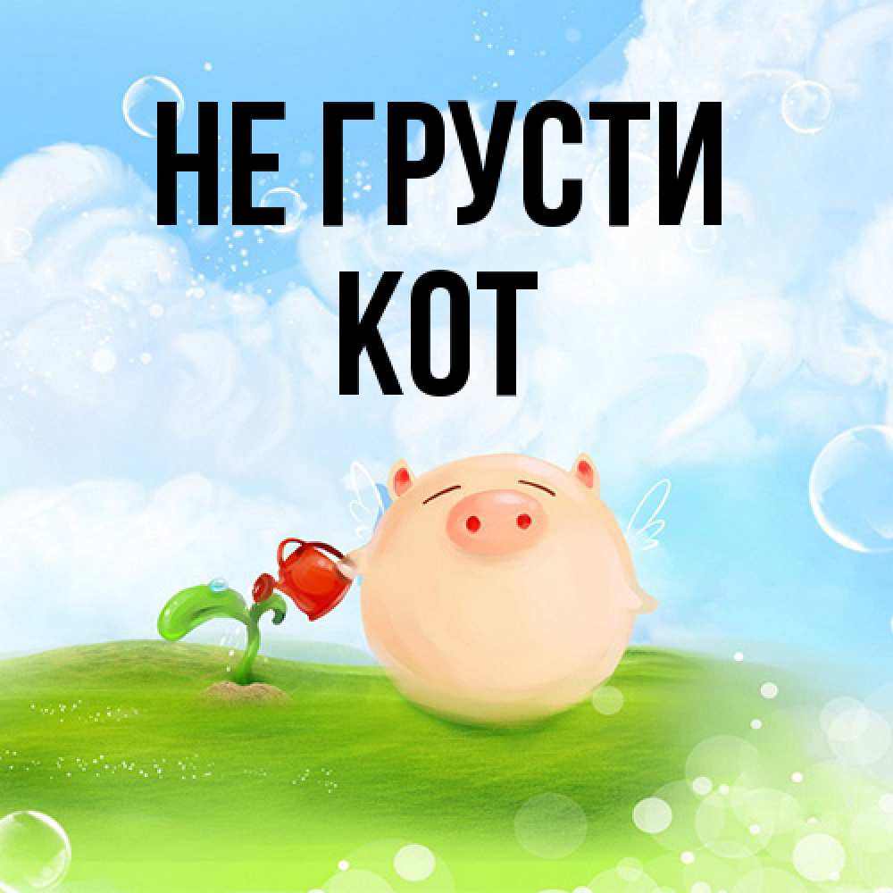 Открытка на каждый день с именем, Кот Не грусти поливает цветок порося Прикольная открытка с пожеланием онлайн скачать бесплатно 