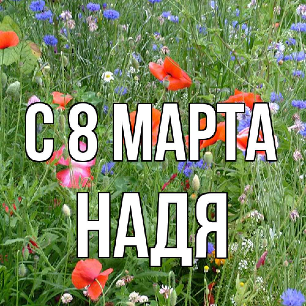 Открытка на каждый день с именем, Надя C 8 МАРТА международный женский день 4 Прикольная открытка с пожеланием онлайн скачать бесплатно 