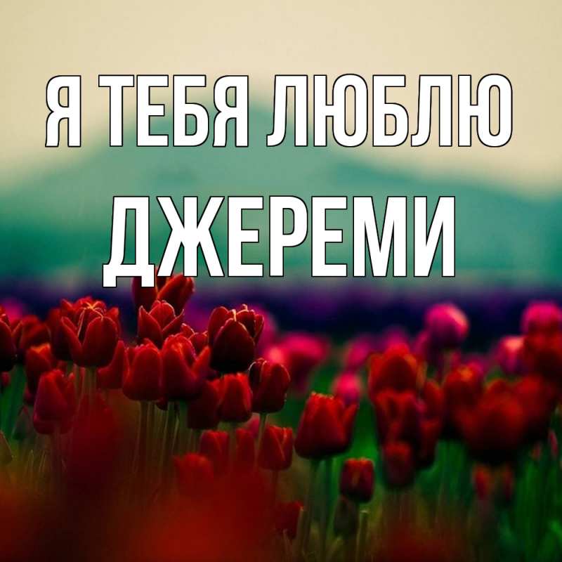 Картинка Я тебя люблю, Джереми