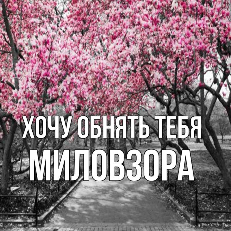 Картинка Хочу обнять тебя, Миловзоpа