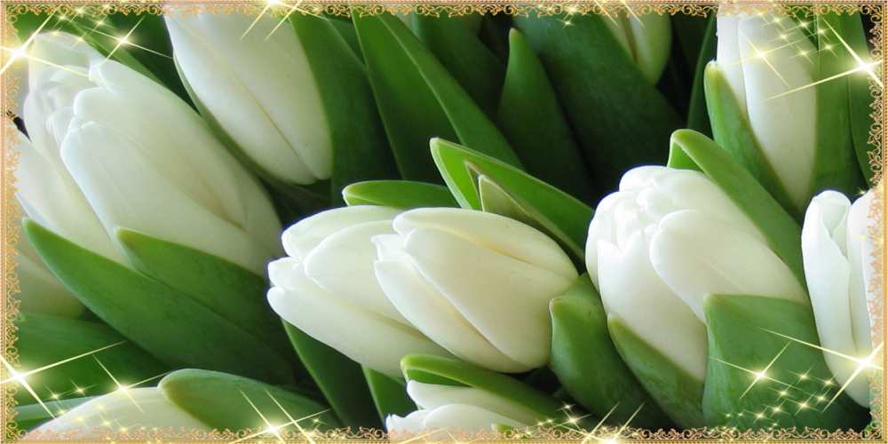 Открытка на каждый день с именем, Кракозябрик C 8 МАРТА поздравляем с 8 марта Прикольная открытка с пожеланием онлайн скачать бесплатно 