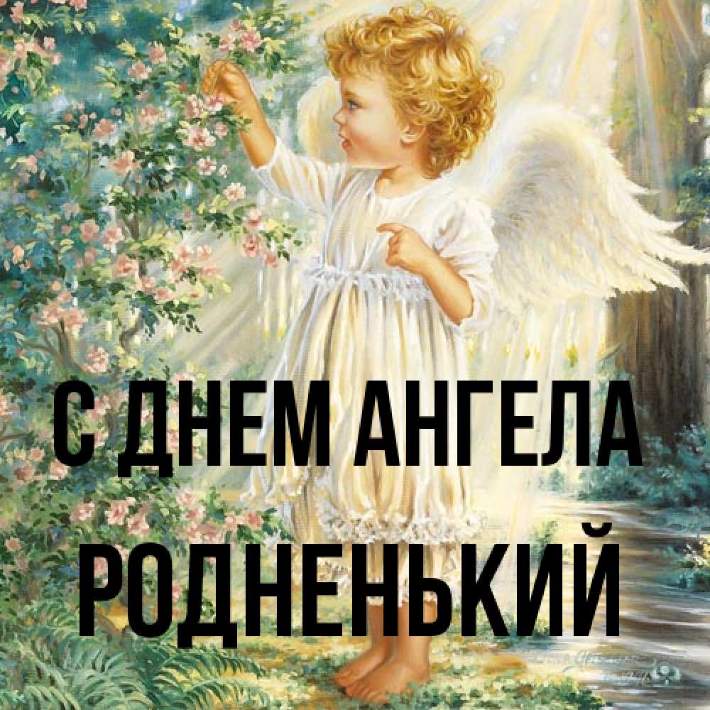 Открытка на каждый день с именем, Родненький С днем ангела собирает цветы Прикольная открытка с пожеланием онлайн скачать бесплатно 