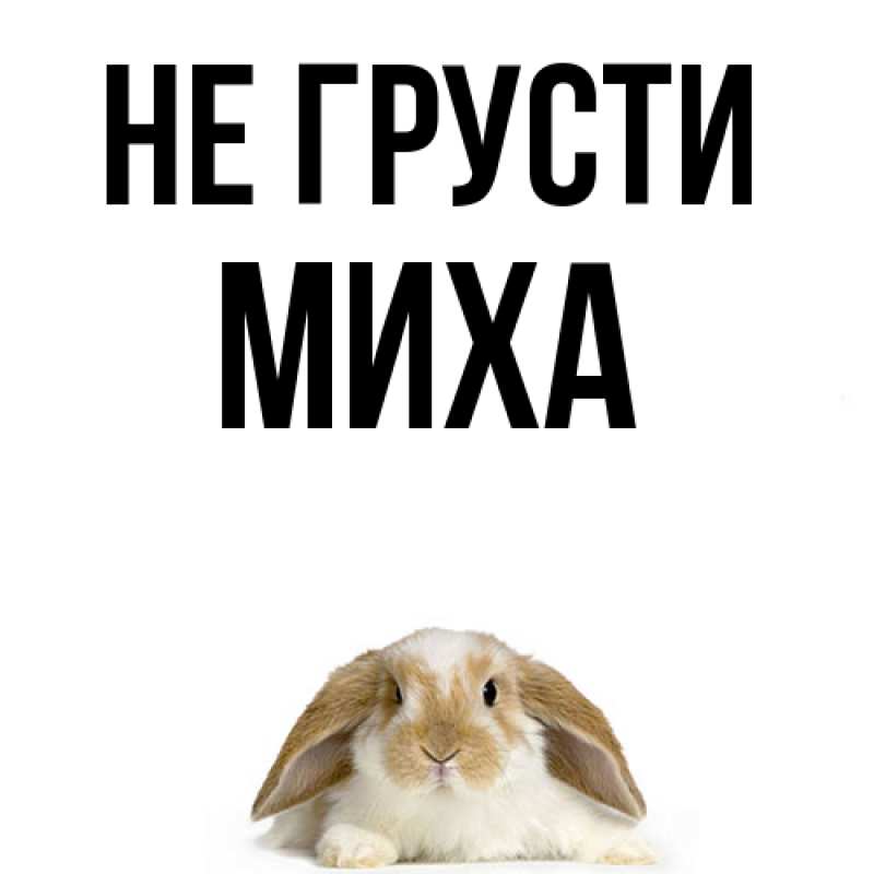 Картинка Не грусти, Миха