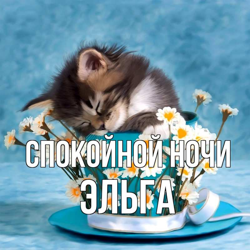 Картинка Спокойной ночи, Эльга