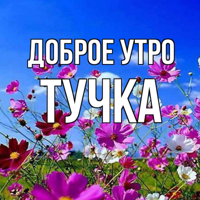 Картинка Доброе утро, Тучка