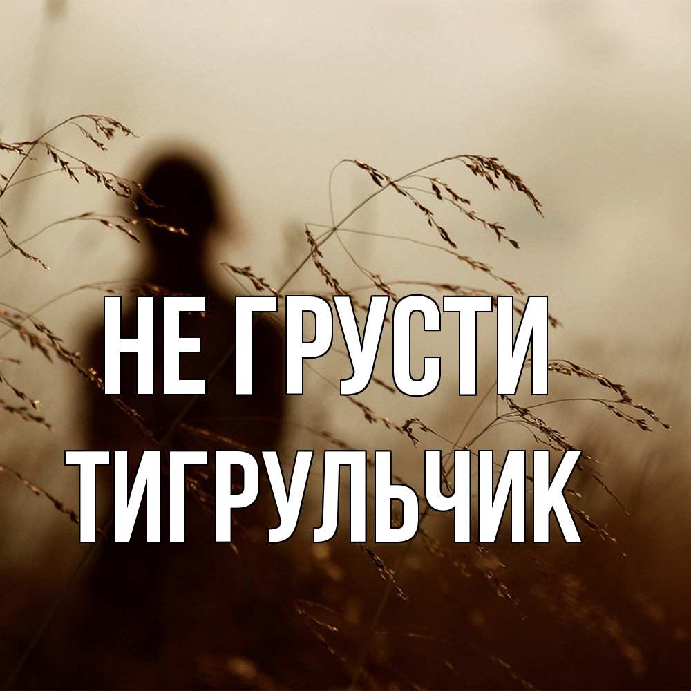 Открытка на каждый день с именем, Тигpульчик Не грусти грусть Прикольная открытка с пожеланием онлайн скачать бесплатно 