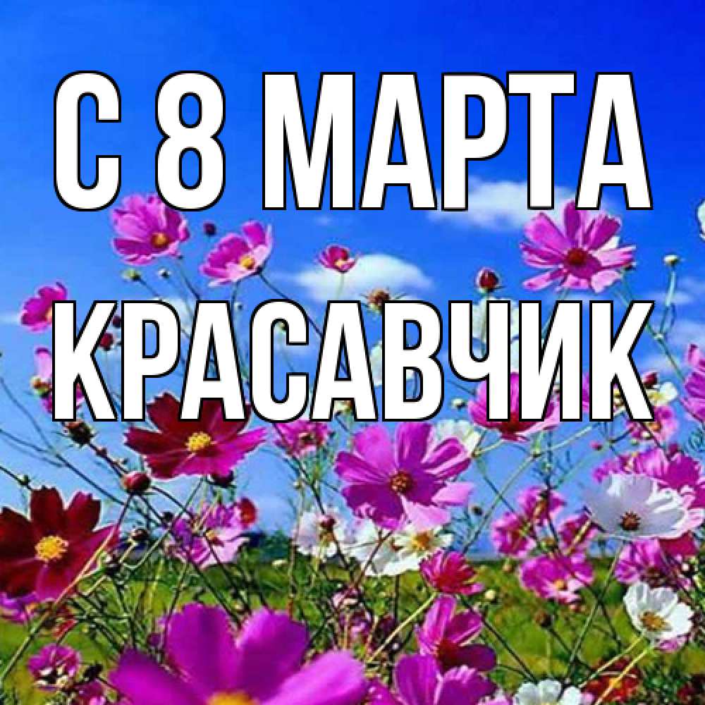 Открытка на каждый день с именем, Красавчик C 8 МАРТА цветы Прикольная открытка с пожеланием онлайн скачать бесплатно 