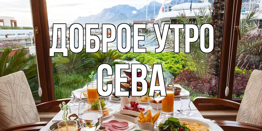 Открытка на каждый день с именем, Сева Доброе утро тропическое утро Прикольная открытка с пожеланием онлайн скачать бесплатно 